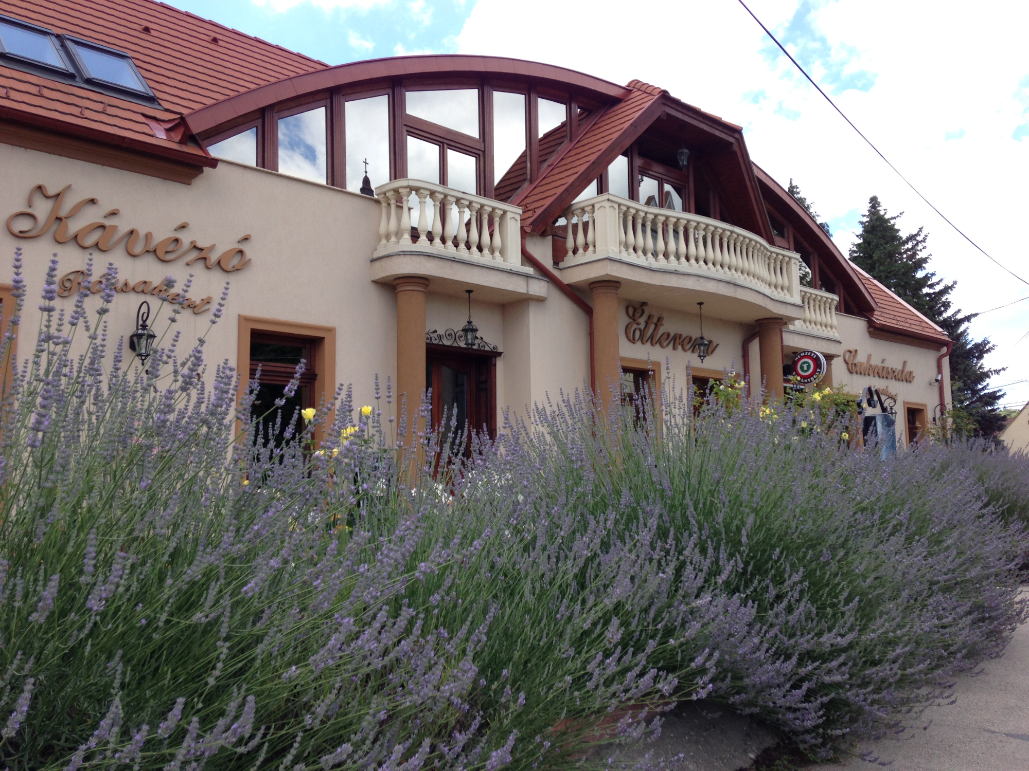 Üdvözöljük honlapunkon!